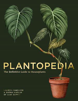 Plantopedia - The Definitive Guide to House Plants