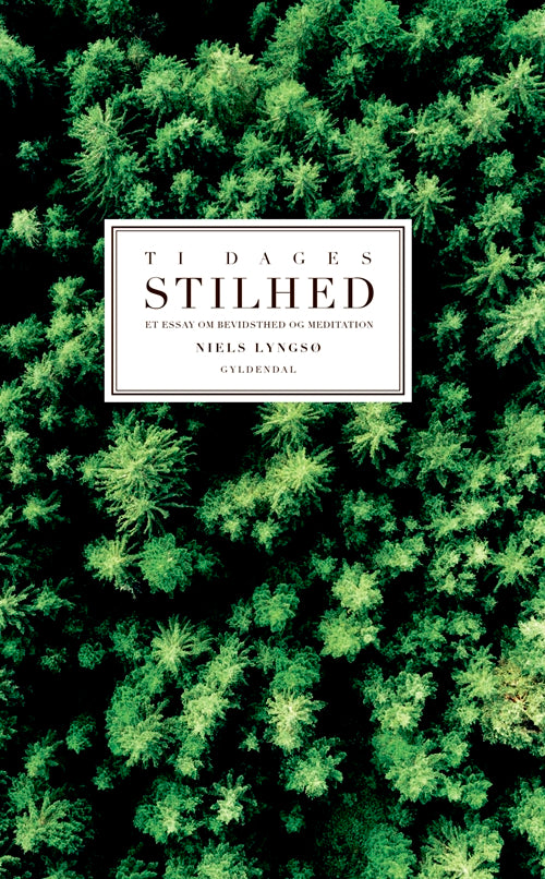 Ti dages stilhed - Et essay om meditation og bevidsthed