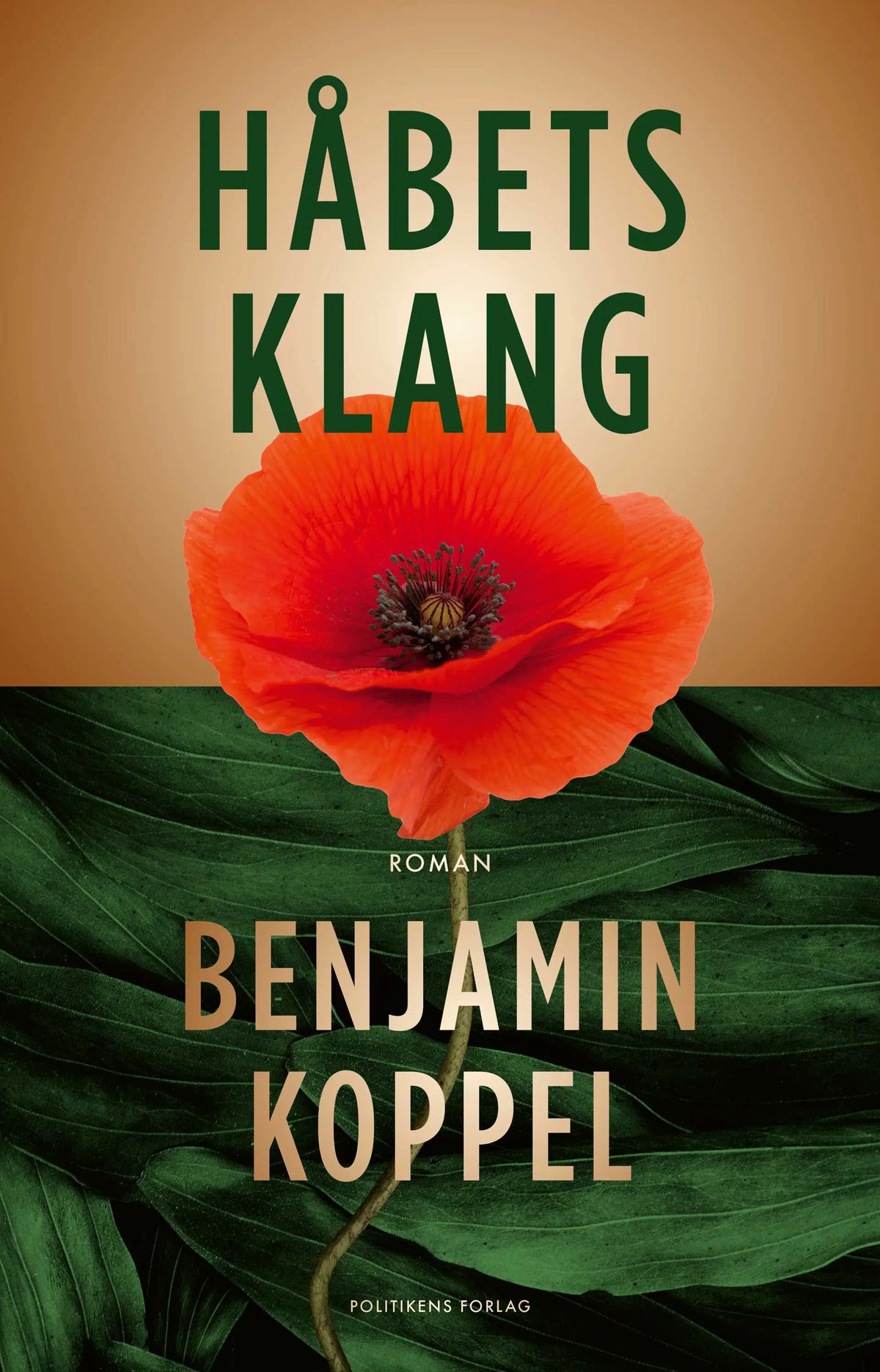 Håbets klang