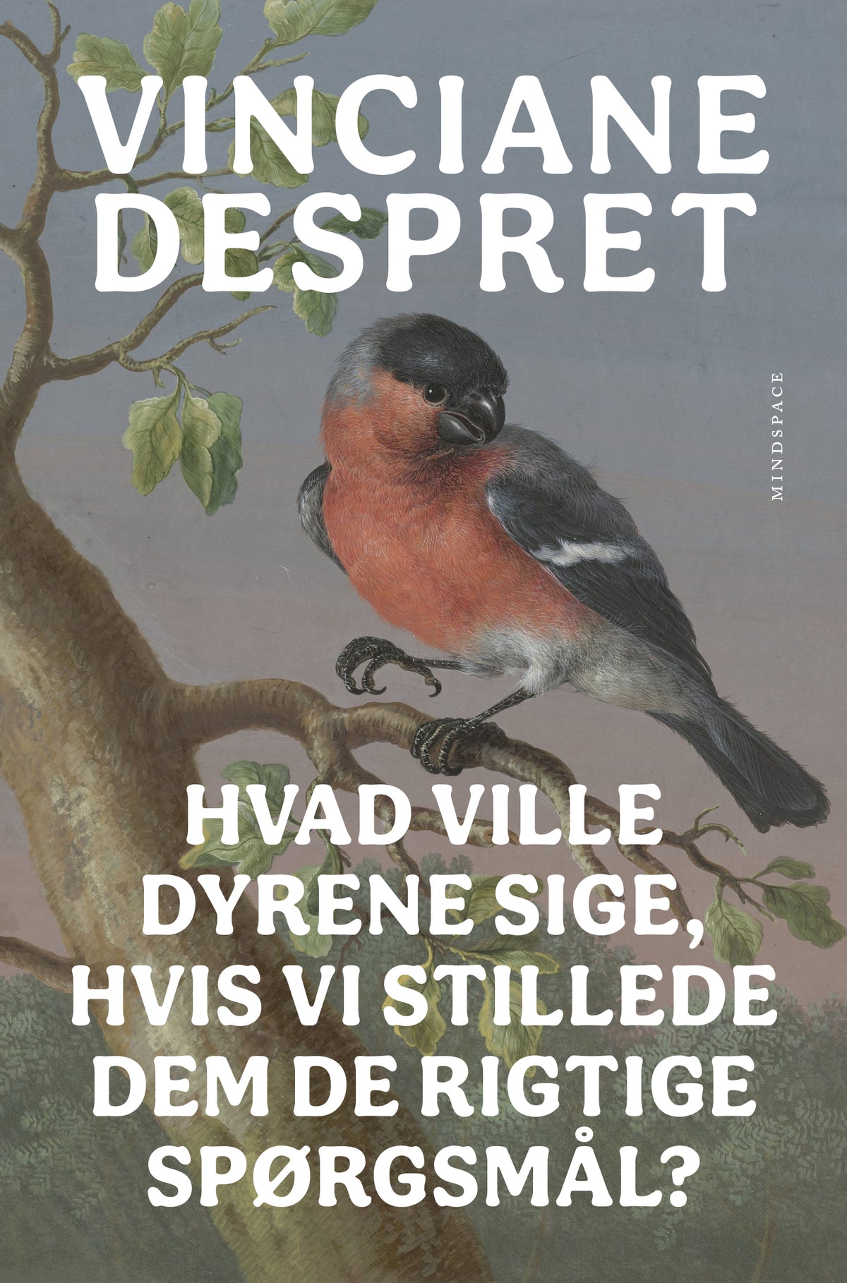 Hvad ville dyrene sige, hvis vi stillede dem de rigtige spørgsmål?