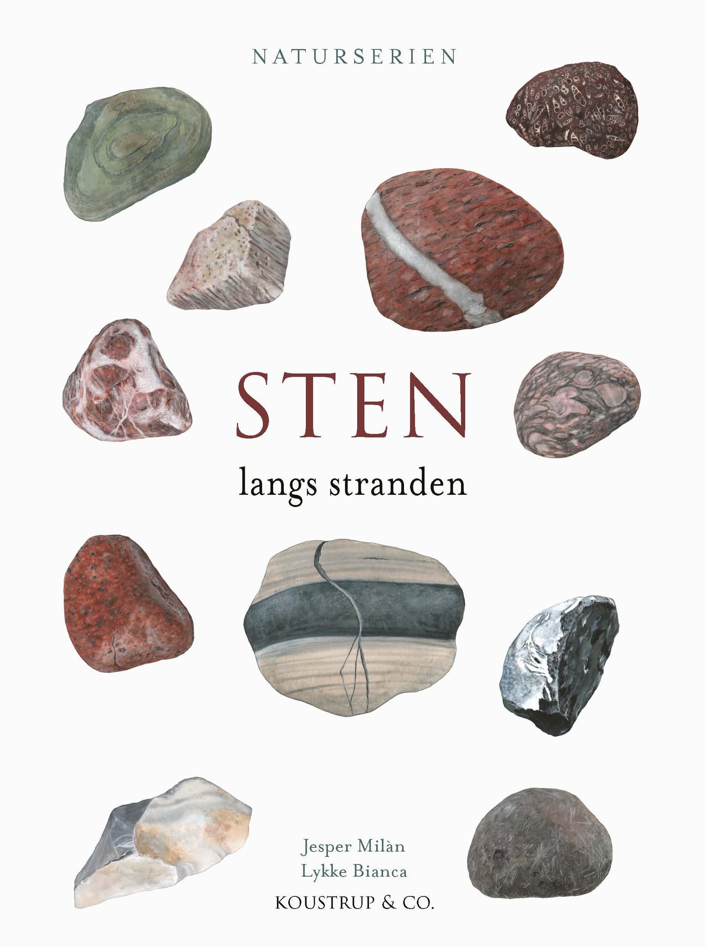 STEN - Langs stranden