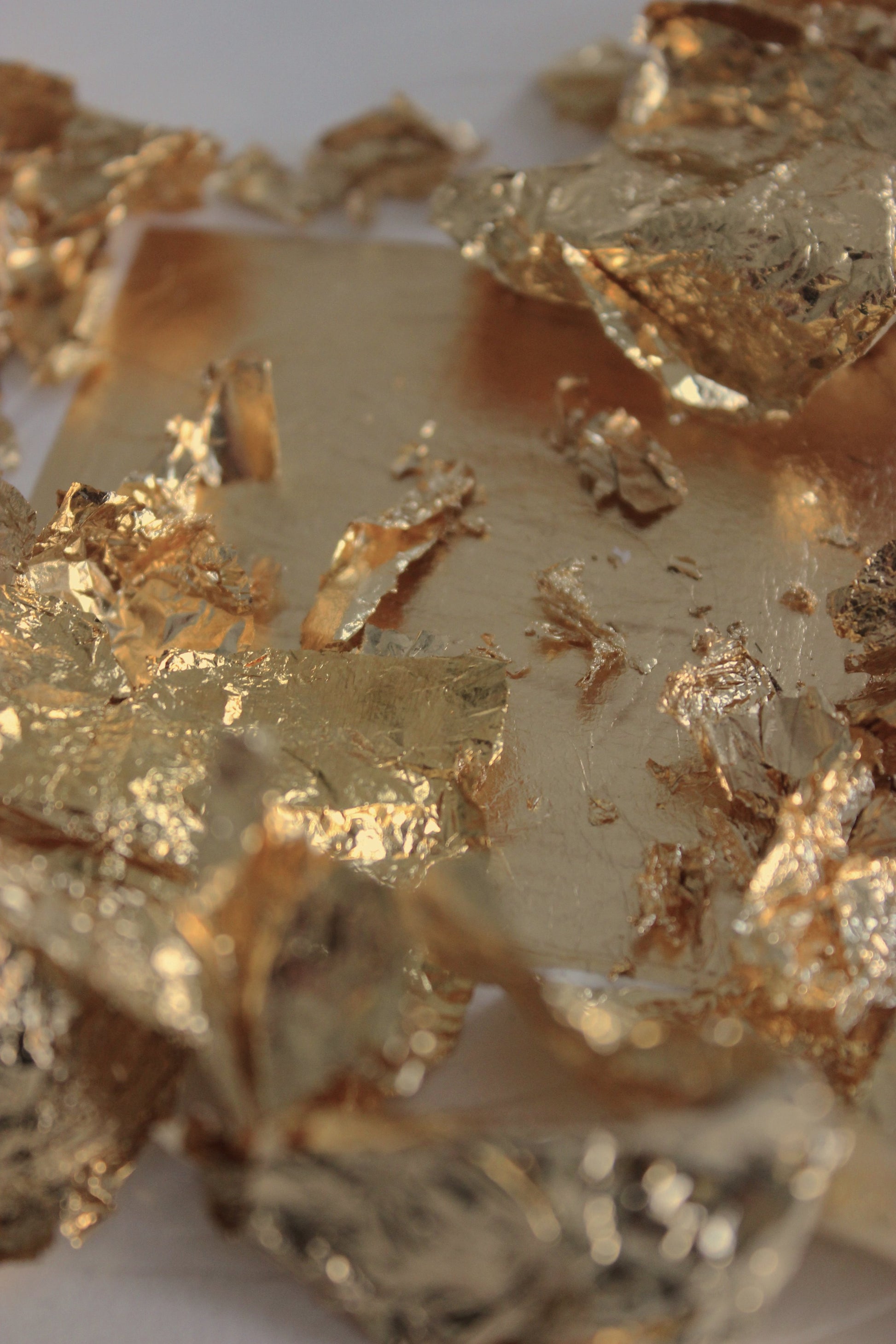 Art book Kopernikus' sol, signeret og nummereret