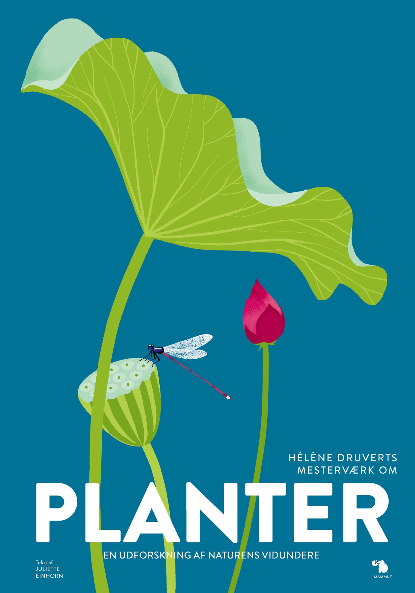 Planter - En udforskning af naturens vidundere