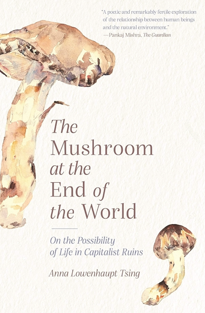 The Mushroom at the End of the World - On the Possibility of Life in Capitalist Ruins
