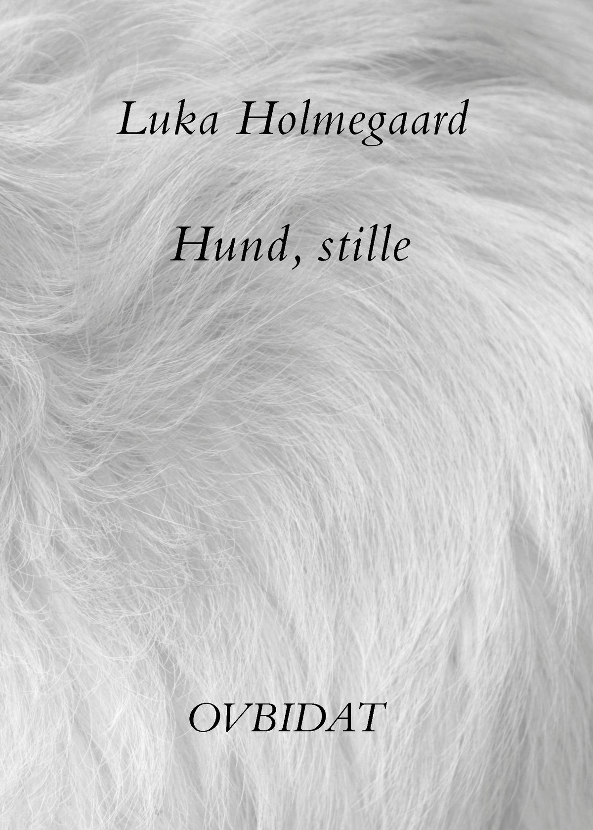 Hund, stille