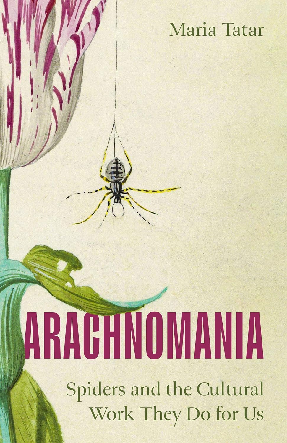 Arachnomania - Spiders and the Cultural Work They Do for Us