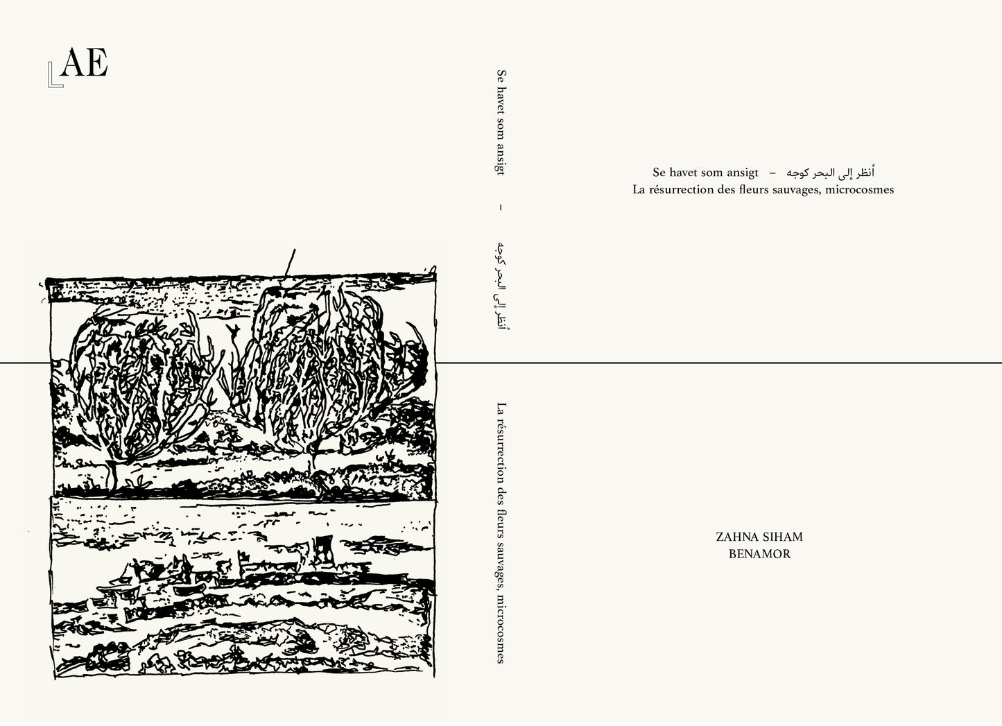 Se havet som ansigt / اُنظر إلى البحر كوجه / La résurrection des fleurs sauvages, microcosmes
