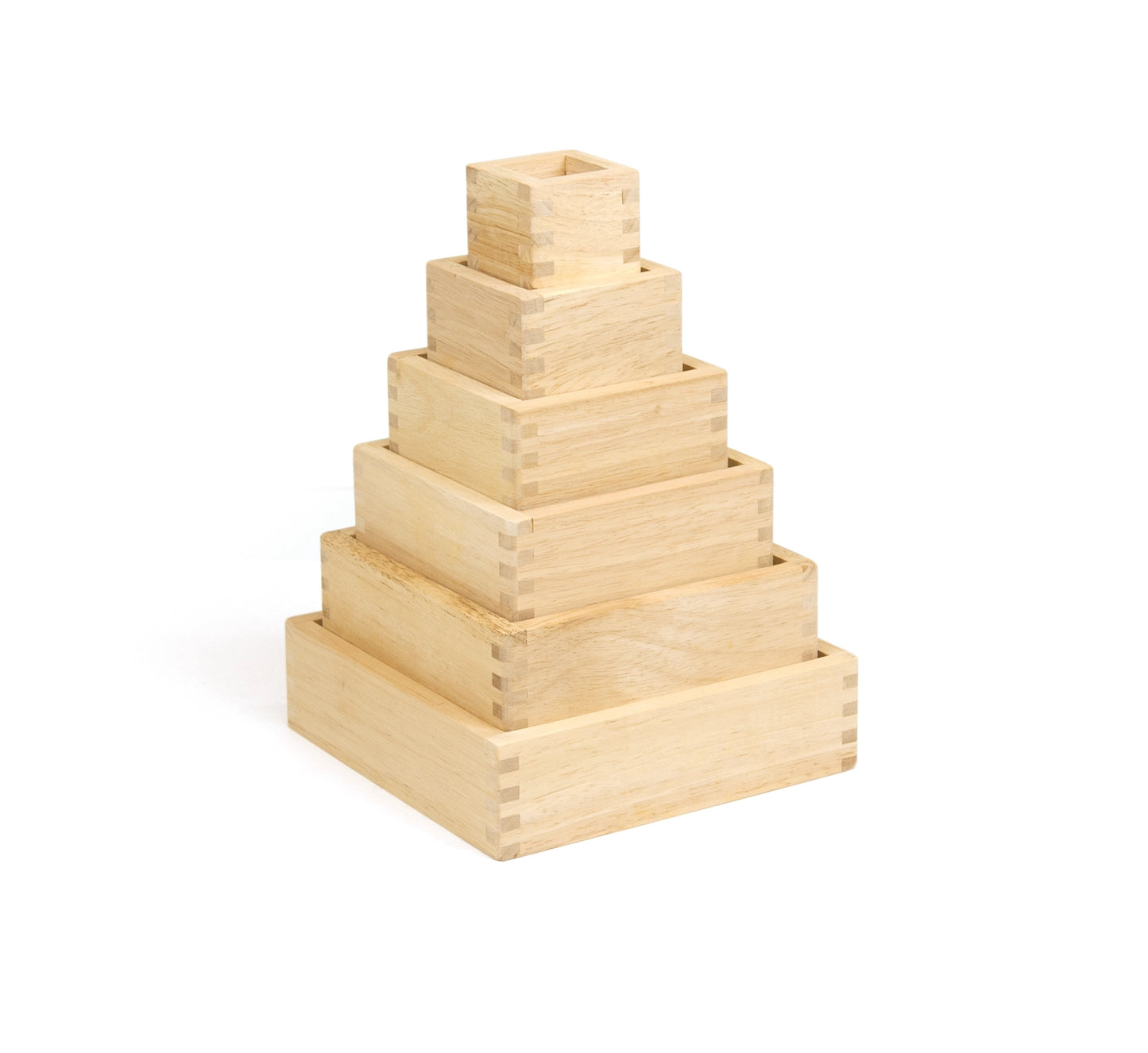 6 Wooden Blocks with Magnifier