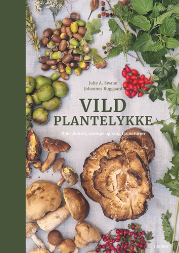 Vild plantelykke - Spis planter, svampe og tang fra naturen