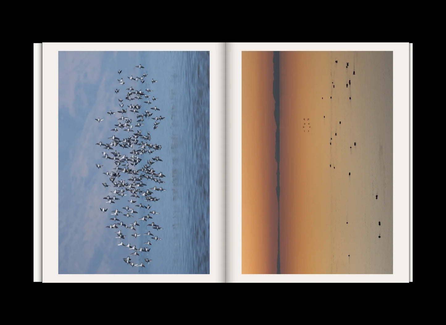Emergence Magazine, Volume 6 - Seasons
