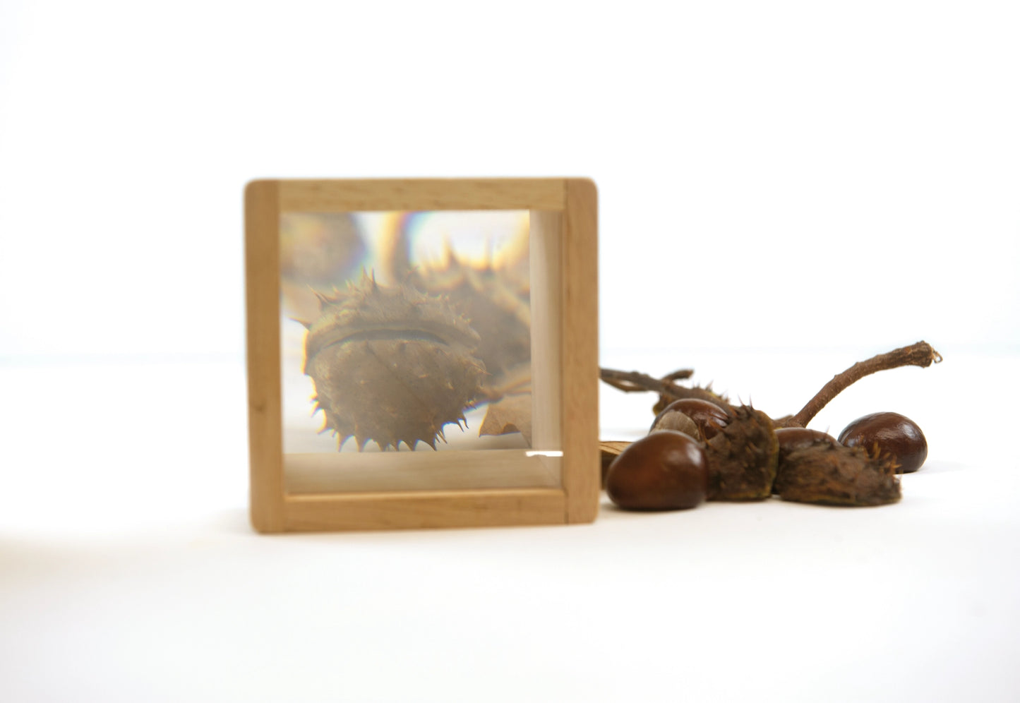 6 Wooden Blocks with Magnifier