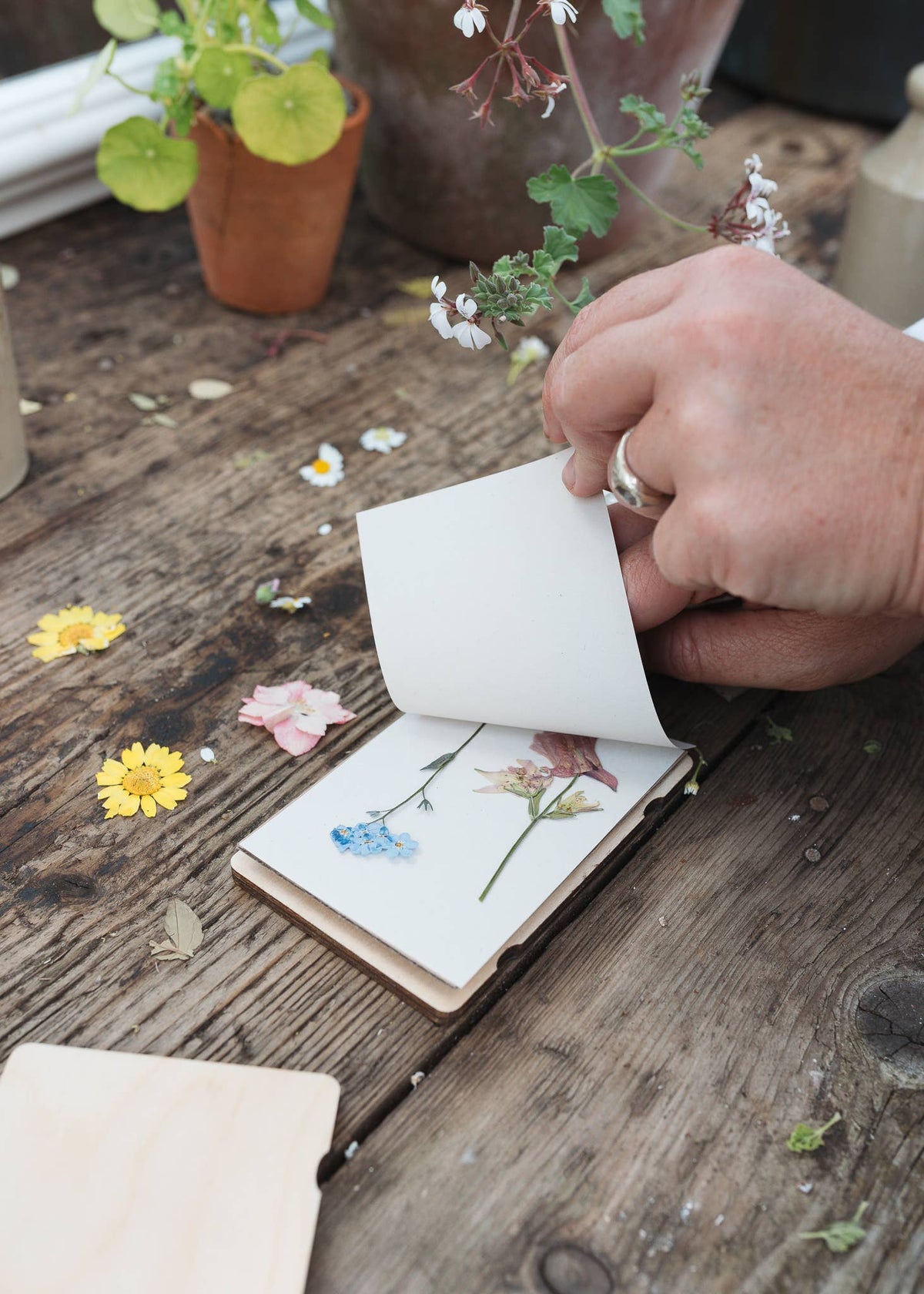 Blomsterpresse i lommeformat - valmue