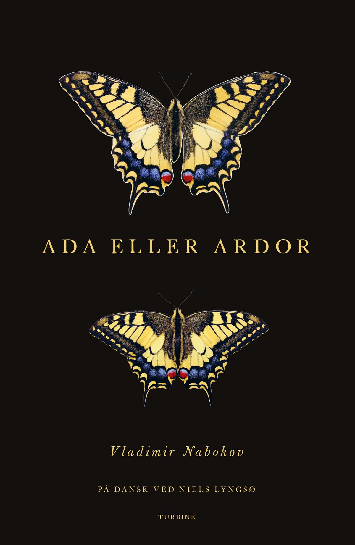Ada Roe Ada eller Ardor – Brøglitteraturbar