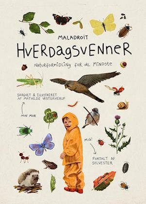 Hverdagsvenner - naturformidling for de mindste