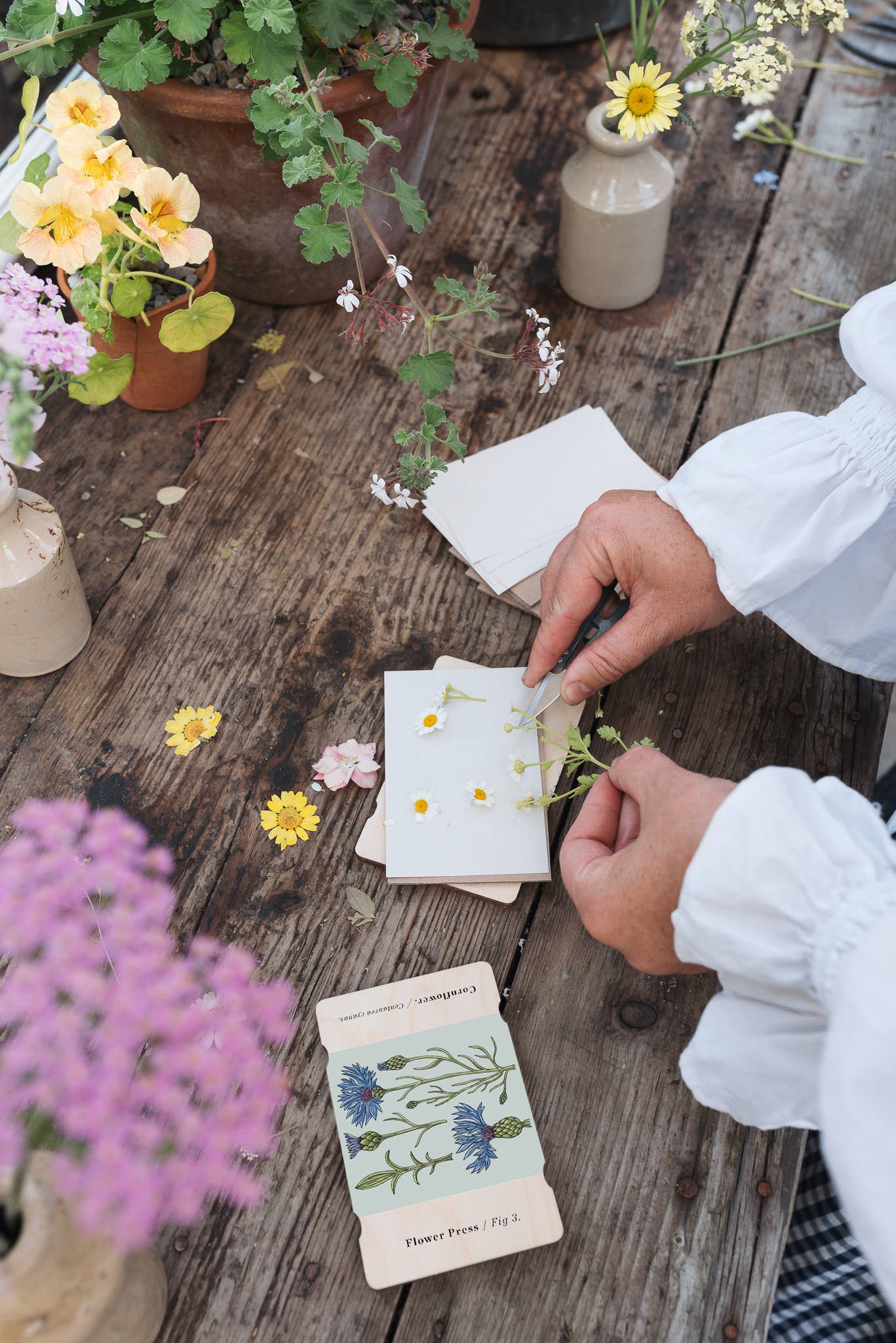 Blomsterpresse i lommeformat - kornblomst