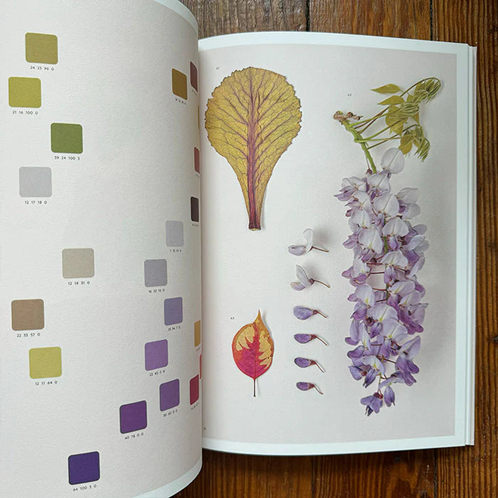 Chromatic Herbarium