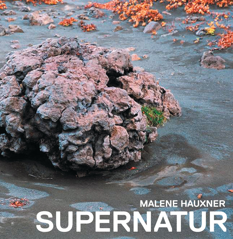 SUPERNATUR. Europæisk landskabsarkitektur 1967-2007 set fra Danmark
