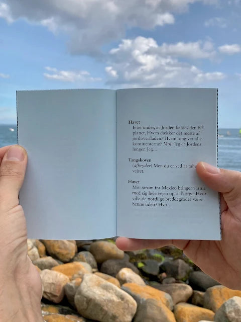 MARE – Monolog med afbrydelser
