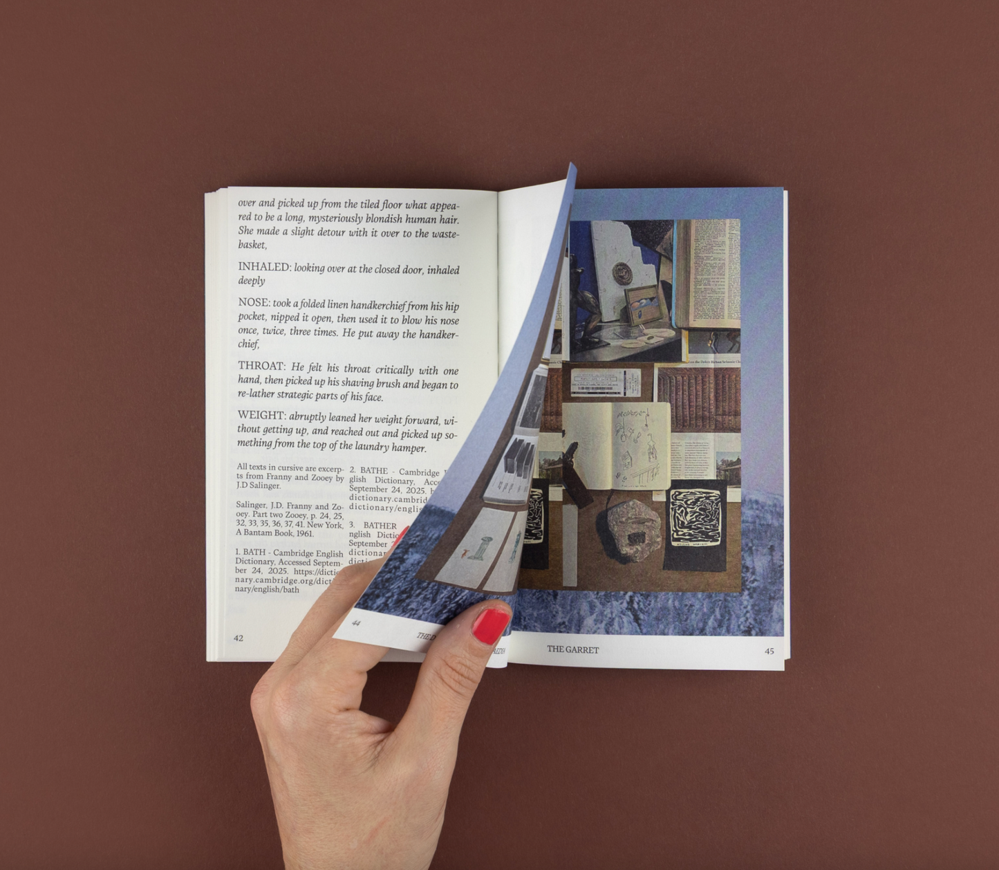 DOMESTIC ENCYCLOPAEDIA - Oblique Encounters of Domestic Space