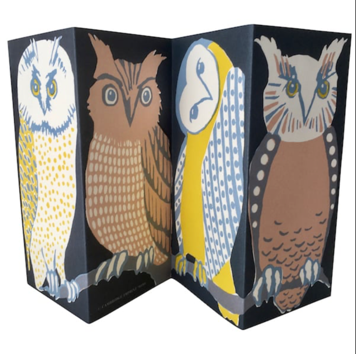 Wise Old Birds - Cambridge Imprint