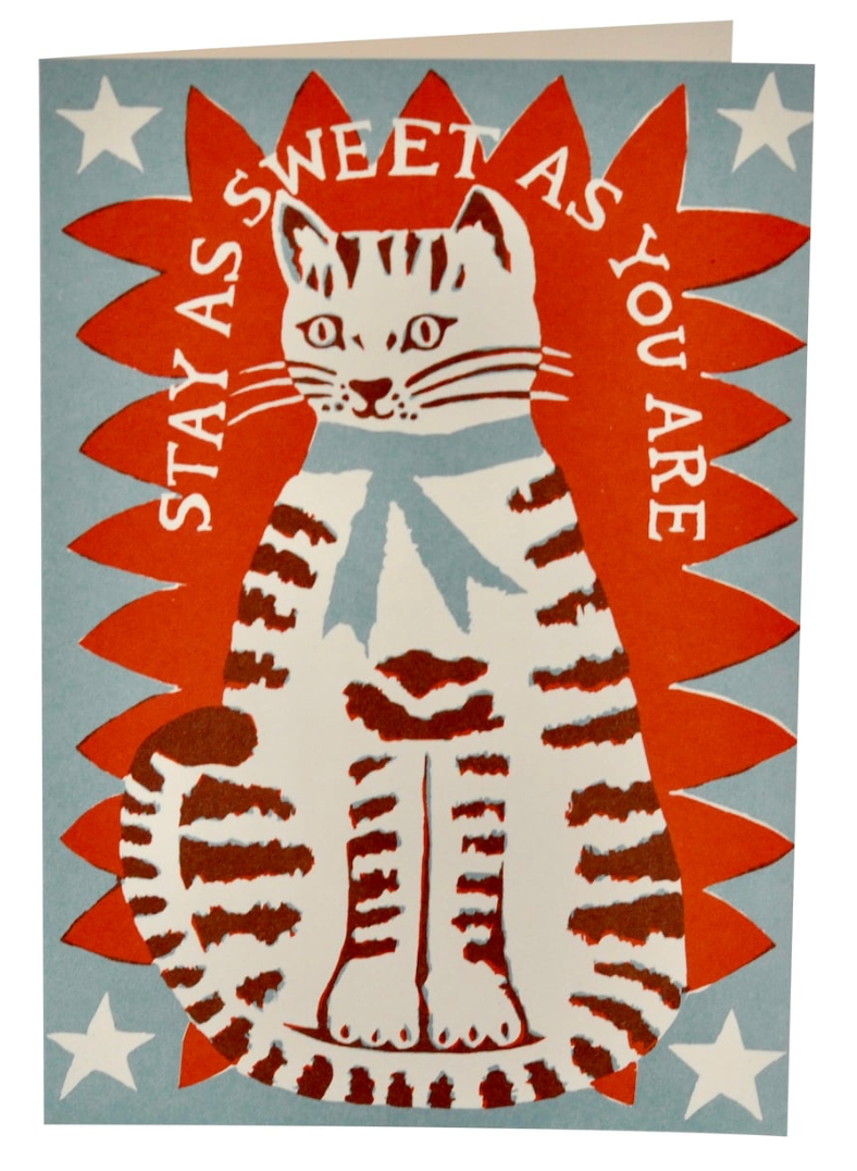 Very Large Card Sweet Cat - Cambridge Imprint