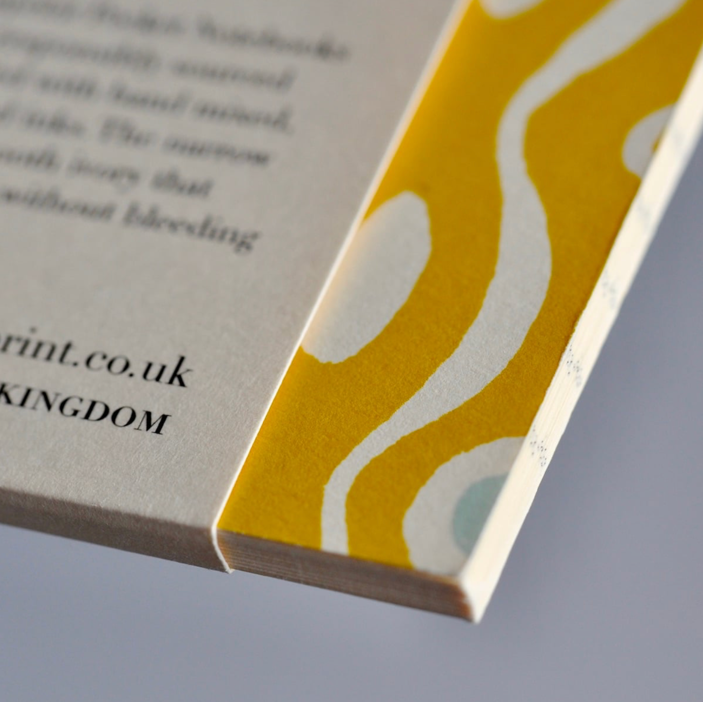 Pocket Notebook Persephone Mustard And Pale Turquoise - Cambridge Imprint