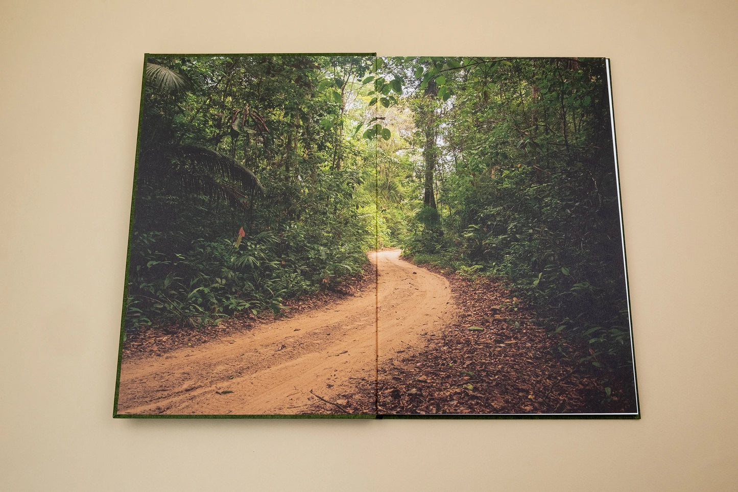 Michelle Piergoelam – Fourteen Leaves and a Cup of Water