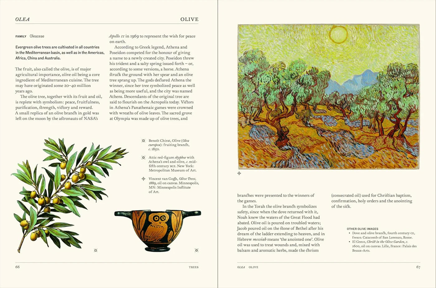 The Secret Language of Plants Art, Nature & Symbolism