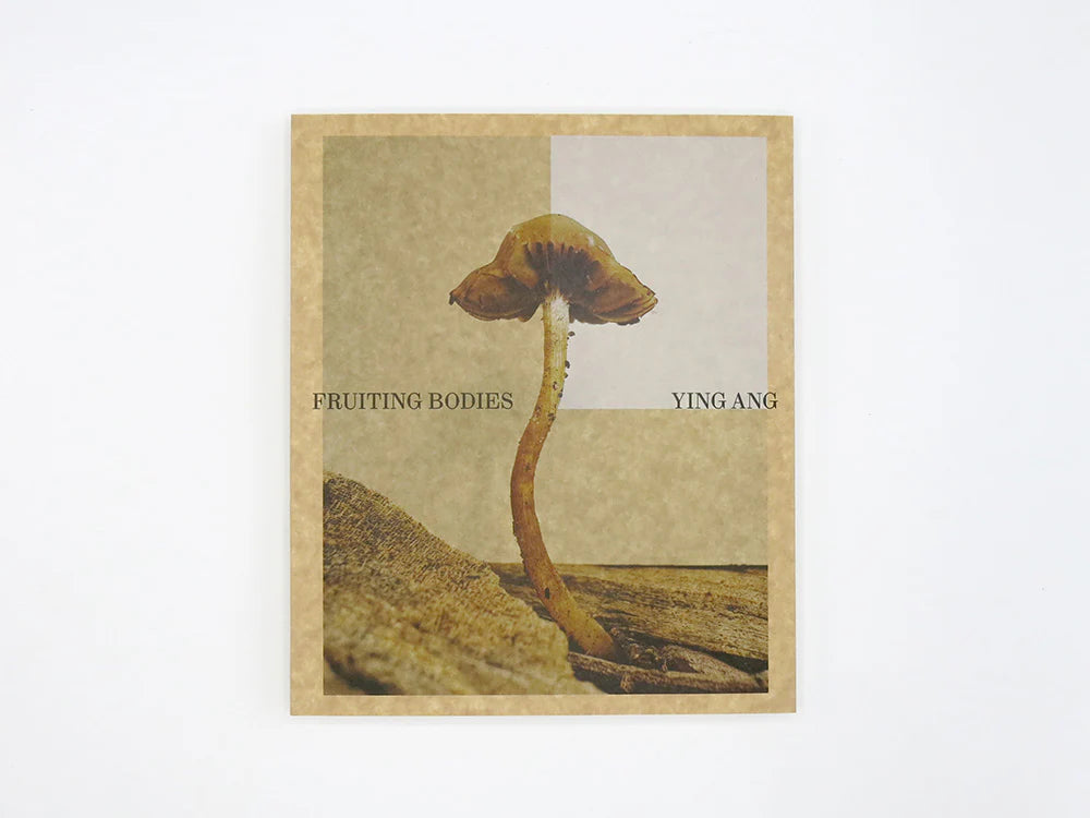 Fruiting Bodies