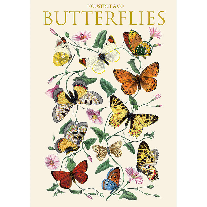 Butterflies - 8 kort